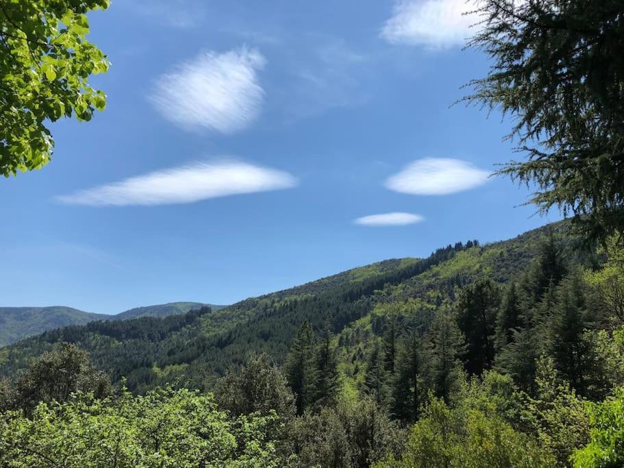 Maison Rurale Au Coeur Des Cevennes Ardechoises Dompnac Ngoại thất bức ảnh