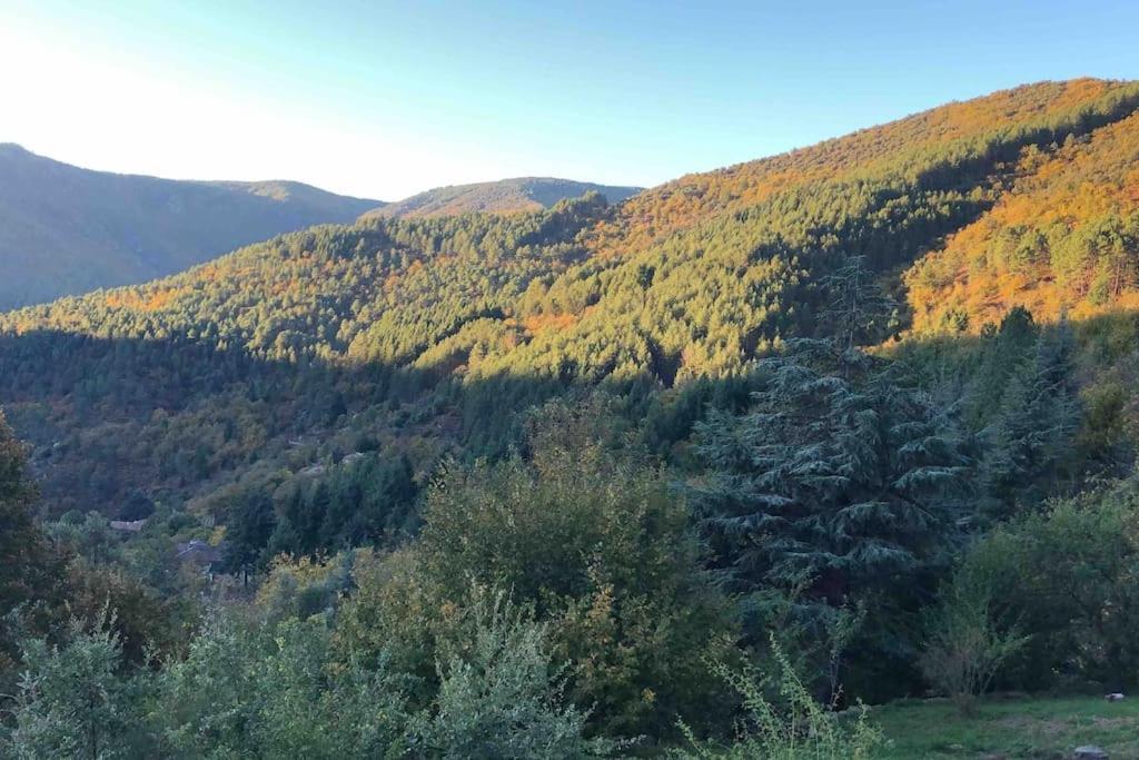 Maison Rurale Au Coeur Des Cevennes Ardechoises Dompnac Ngoại thất bức ảnh